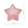 Healeved Manicure Color Mixing Palettes, 2-Piece Resin Agate Set for Nail Art, Salon and Home view 2