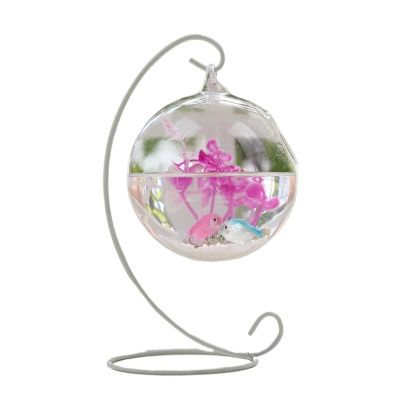 Lizhuzhuzs28 Hanging Transparent Betta Fish Aquarium, Desktop Glass Fish Tank, White, Medium