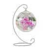 Lizhuzhuzs28 Hanging Transparent Betta Fish Aquarium, Desktop Glass Fish Tank, White, Medium view 1