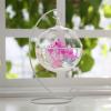 Lizhuzhuzs28 Hanging Transparent Betta Fish Aquarium, Desktop Glass Fish Tank, White, Medium view 3