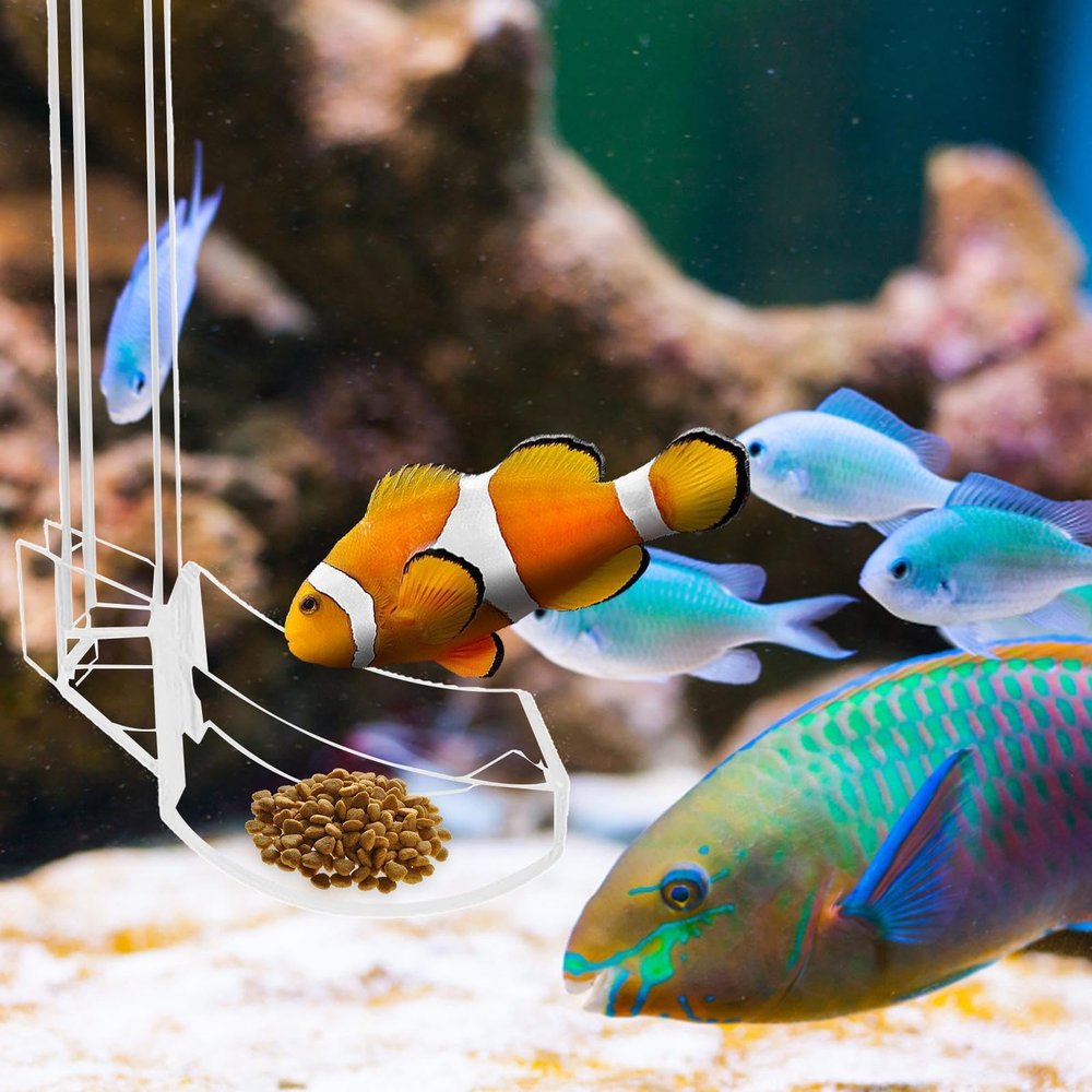 Shrimp Feeding Tube Set