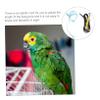 BCOATH Blue Adjustable Outdoor Flight Harness and Leash for Birds, 1 Piece view 4