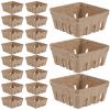 50-Count Paper Pulp Berry Baskets for Strawberries and Fruit view 1