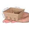 50-Count Paper Pulp Berry Baskets for Strawberries and Fruit view 2
