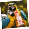 Reusable Cotton Parrot Diapers for Budgerigars view 3