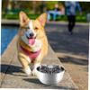 BELLIFFY Silicone Slow Feeder Insert for Dogs with Feeding Brake view 3