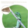 BELLIFFY Woven Grass Reptile Hammock, Wear-Resistant Pet Hammock for Lizards and Snakes view 3
