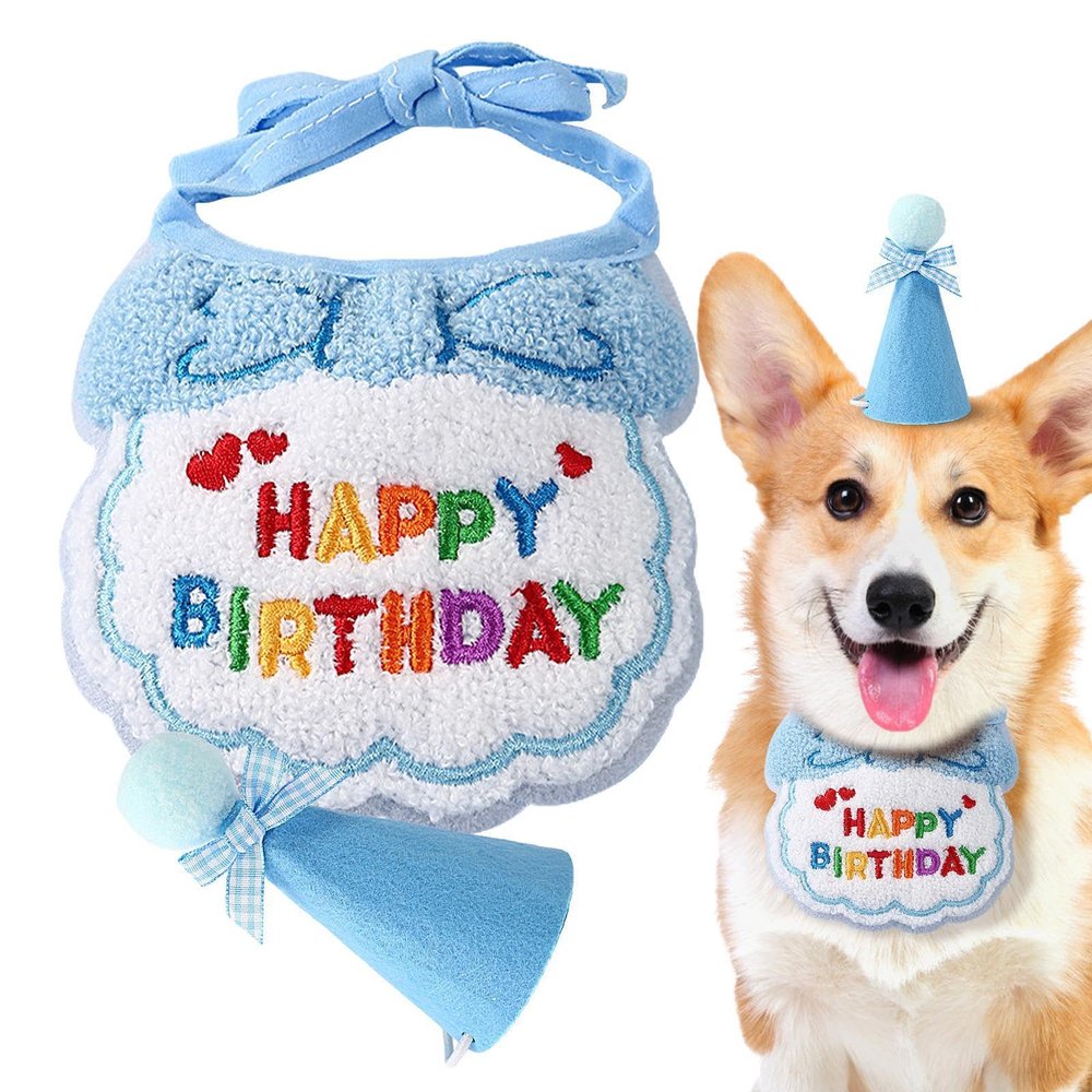 Cat Birthday Party Hat