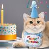 Cat Birthday Party Hat view 3