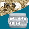 Reptile Egg Incubator for Lizards view 3