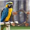 BESPORTBLE Parrot Swing Seat view 4