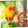 Sosoport Wooden Parrot Toy Perch with Bell for Cockatiels view 2