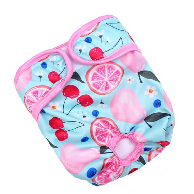 Reusable Moisture-Absorbing Dog Diaper for Female Dogs, Cherry Lemon M