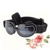 CIYODO 2-Piece Dog Sunglasses, Black view 2