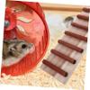 Parliky Decorative Hamster Ladder Toy view 4