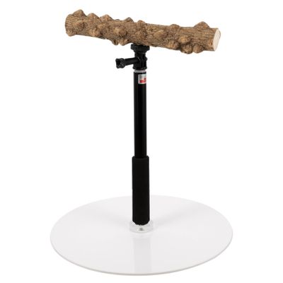 Adjustable Metal Bird Stand with Stable Base