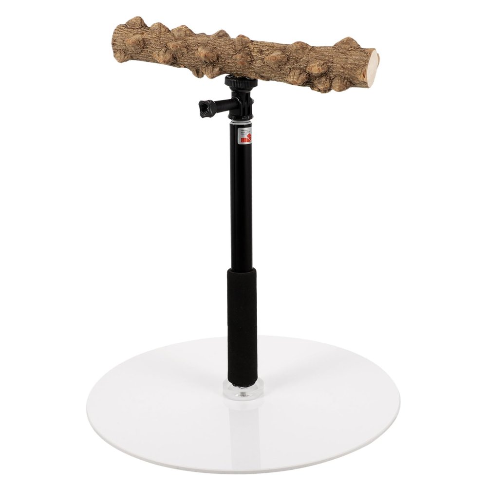 Adjustable Metal Bird Stand with Stable Base