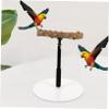 Adjustable Metal Bird Stand with Stable Base view 4