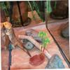 Parliky Reptile Water Bowl view 2
