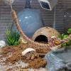 Hermit Crab Climbing Rope Toy, 54.9 cm view 2