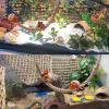 Hermit Crab Climbing Toy, Flexible, 54.9 cm view 2