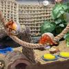 Hermit Crab Climbing Toy, Flexible, 54.9 cm view 3