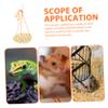 TOGEVAL Hanging Hammock for Reptiles view 3