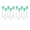 WENH 10-Piece Replacement Brush Heads for DC01, Soft Vacuum Whitening Bristles, Sonic Cleaning (10 White) view 1