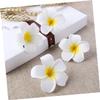 Healeved 3-Piece Floral Hair Clip Sets for Women, Large Daisy Frangipani Side Clips, 7 cm, 25 Pieces × 3 view 2