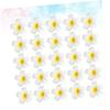 Healeved 3-Piece Floral Hair Clip Sets for Women, Large Daisy Frangipani Side Clips, 7 cm, 25 Pieces × 3 view 3