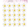 Healeved 3-Piece Floral Hair Clip Sets for Women, Large Daisy Frangipani Side Clips, 7 cm, 25 Pieces × 3 view 4