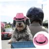 BELLIFFY Stylish Puppy Hat view 3