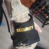 Hjatirace Adjustable Comfortable Bearded Dragon Harness view 2