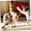 Parliky Interactive Cat Toy for Exercise and Fun, Plush Silvervine Sticks for Kittens view 4