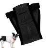 Dog Diapers for Females - Washable & Reusable view 1