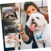 ORFOFE 6-Piece Pet Grooming Comb Set view 4