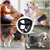 Washable Dog Diapers for Females view 4