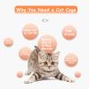 Indoor Cat Cage & Outdoor Playpen view 2
