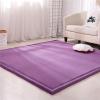DSSHENGDS Extra-Soft Thick Coral Velvet Rug, Non-Slip Crawling Mat, 180 x 300 cm view 1