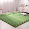 DSSHENGDS Extra-Soft Thick Coral Velvet Rug, Non-Slip Crawling Mat, 100 x 180 cm view 1
