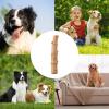 Bexdug Dog Chew Toy - Indestructible Bone view 4