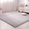 DSSHENGDS Extra-Soft Thick Coral Velvet Rug, 150 × 200 cm view 1