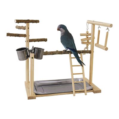 Bird Playground with Swing and Chew Toy