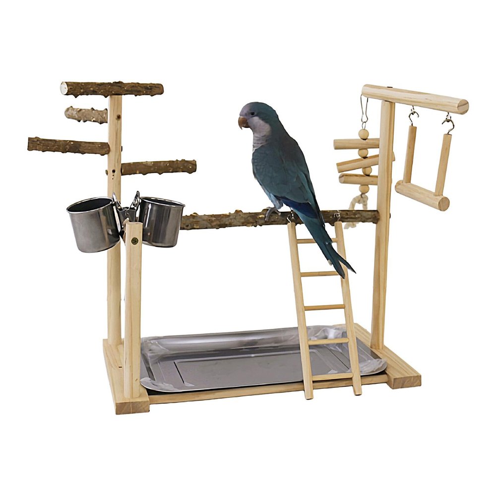 Bird Playground with Swing and Chew Toy