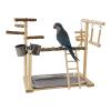 Bird Playground with Swing and Chew Toy view 1