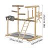 Bird Playground with Swing and Chew Toy view 2