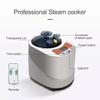 Portable 2-Liter Sauna Steam Generator view 2