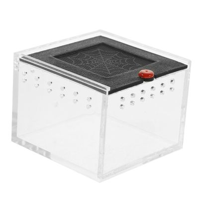 WOONEKY Transparent Acrylic Reptile Container with All-Around Ventilation for Jumping Spiders and Insects