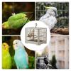 Portable Bird Cage for Budgies and Small Birds view 2