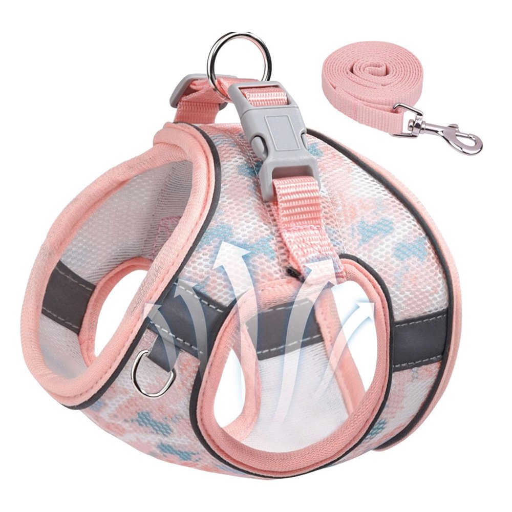 Fukamou Dog Harness and Leash